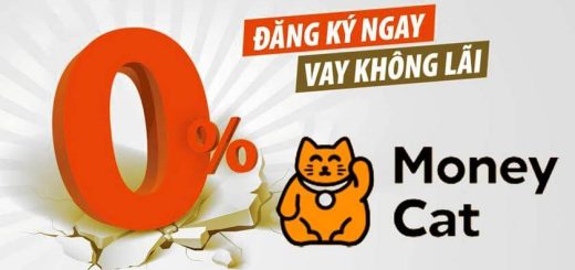 moneycat vay tien