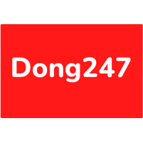 dong247